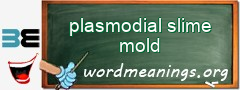 WordMeaning blackboard for plasmodial slime mold